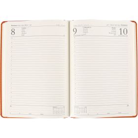 Çatalca-T Günlük Ajanda